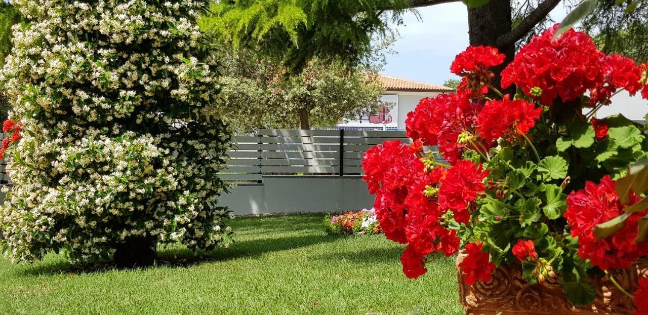 Fiori Apartment أوماغ المظهر الخارجي الصورة